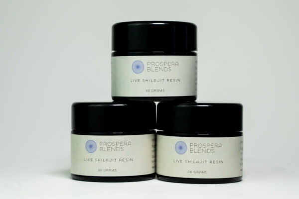 Altai Gold Shilajit Resin - Image 2